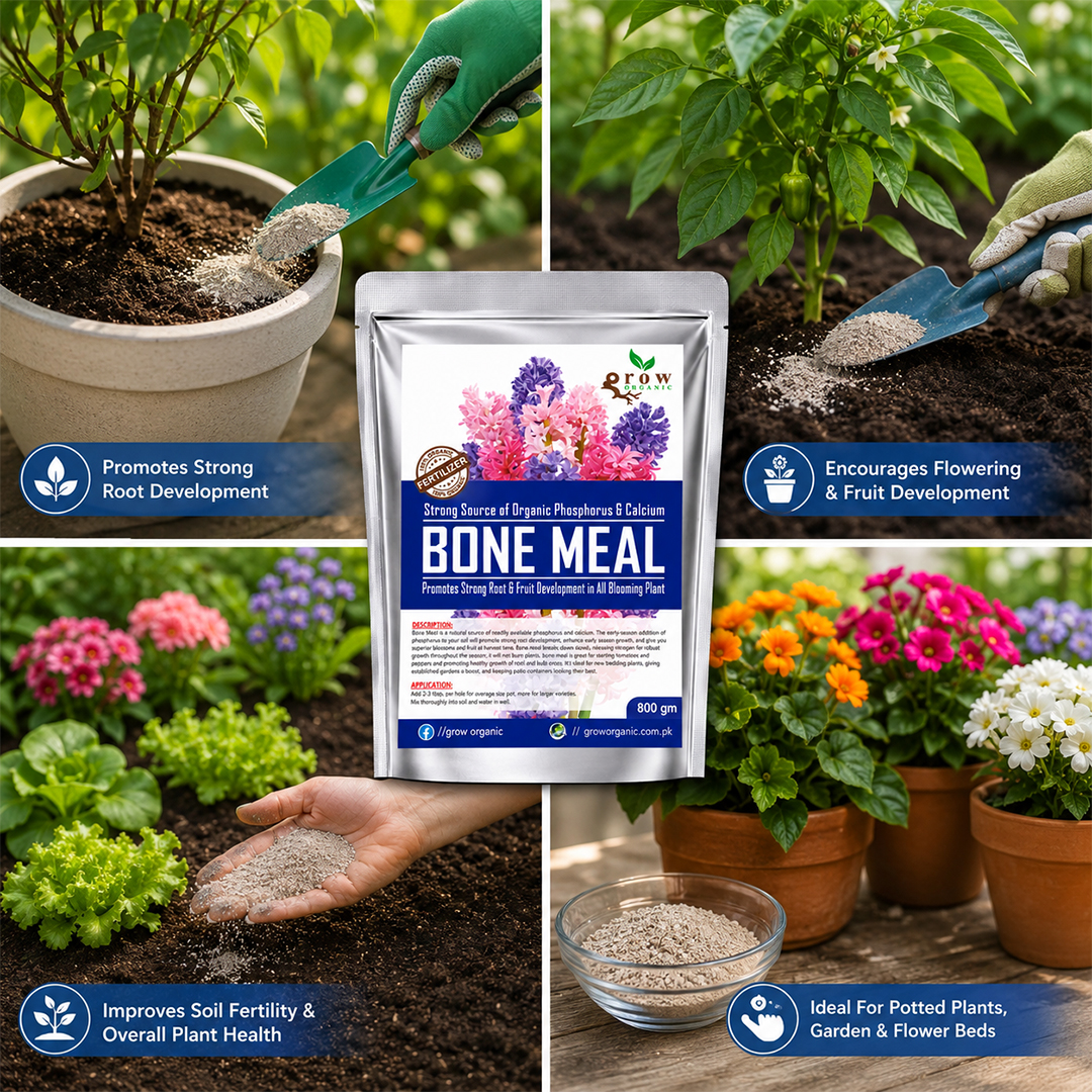 Bone Meal Fertilizer for Flowering Plants