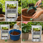 Coco Peat for Seed Germination and Root Growth