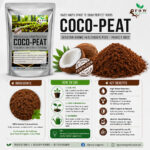 Premium Coco Peat Growing Medium for Plants