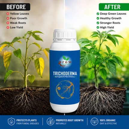 Trichoderma Bio Fungicide Protecting Vegetable Plants Naturally