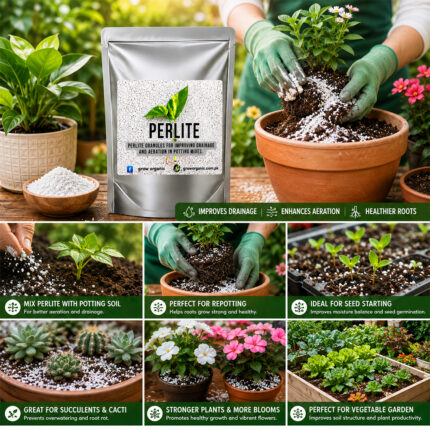 Perlite for indoor plants and home gardening