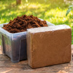 GreenNest Coco Coir Block
