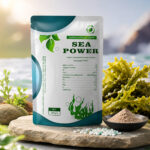 Sea power